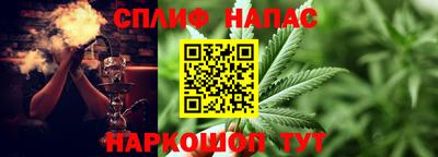 PSILOCYBIN Бугуруслан
