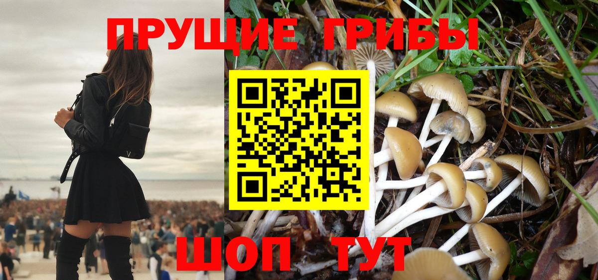 Галлюциногенные грибы мицелий Лиски
