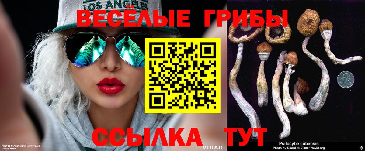 закладки  Вход с VPN  Лиски  Псилоцибиновые грибы Cubensis 